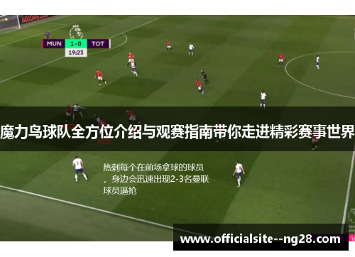 魔力鸟球队全方位介绍与观赛指南带你走进精彩赛事世界